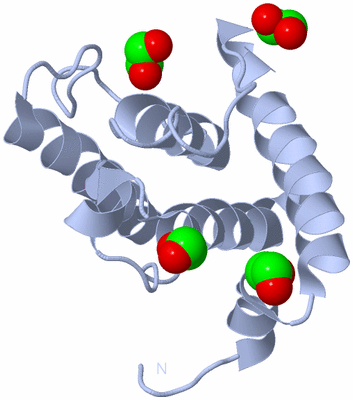 Image Biological Unit 1