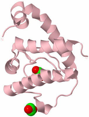 Image Biological Unit 3