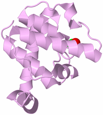 Image Biological Unit 5