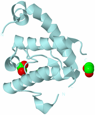 Image Biological Unit 6