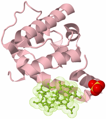 Image Biological Unit 3