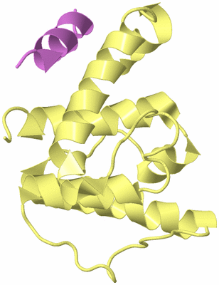 Image Biological Unit 4