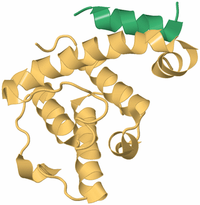 Image Biological Unit 7