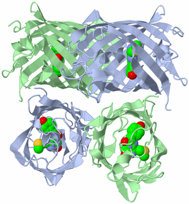 Image Biological Unit 3