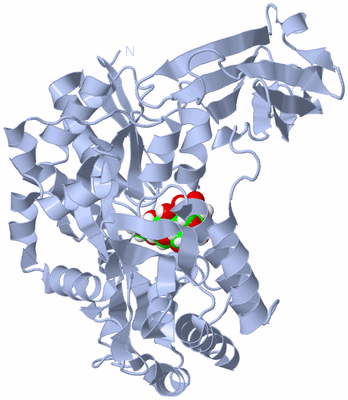 Image Biological Unit 1