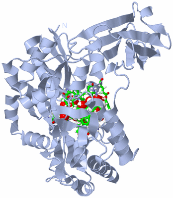 Image Biol. Unit 1 - sites