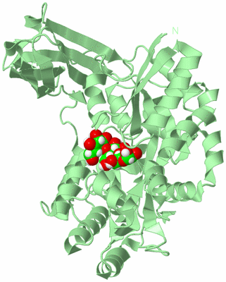 Image Biological Unit 2