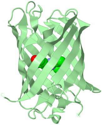 Image Biological Unit 2