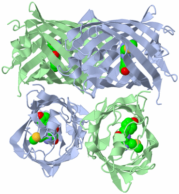 Image Biological Unit 3