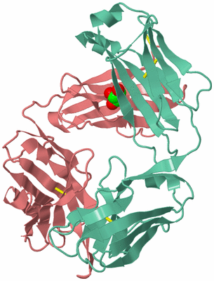 Image Biological Unit 1