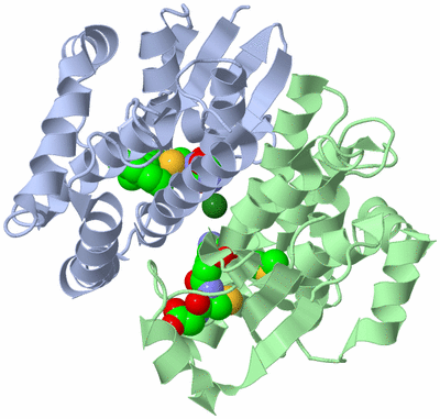 Image Asym./Biol. Unit