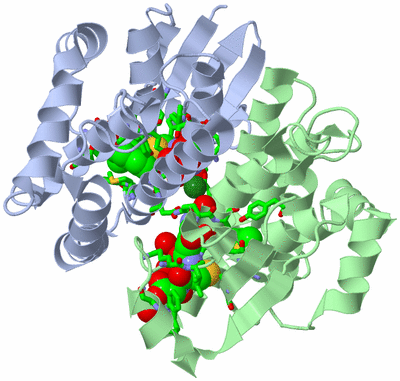 Image Asym./Biol. Unit - sites