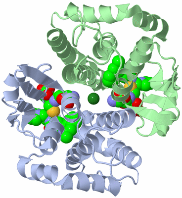 Image Biological Unit 1