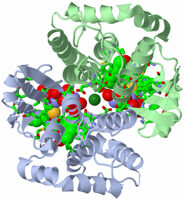 Image Biol. Unit 1 - sites