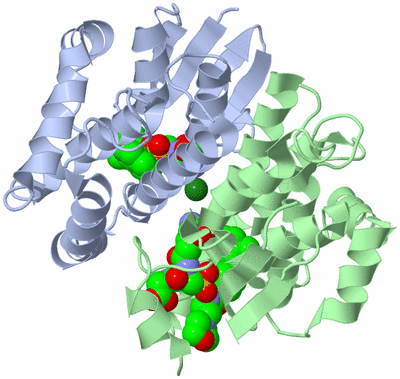 Image Asym./Biol. Unit