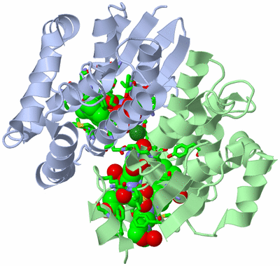 Image Asym./Biol. Unit - sites