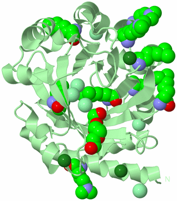 Image Biological Unit 2