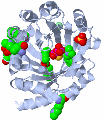 Image Biological Unit 1