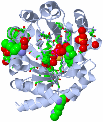 Image Biol. Unit 1 - sites