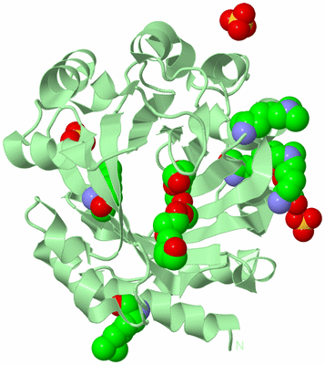 Image Biological Unit 2