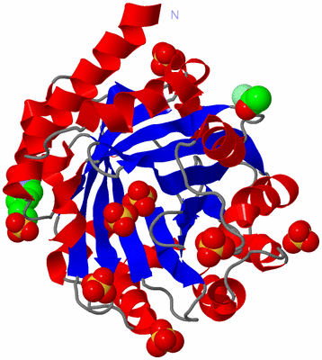 Image Asym./Biol. Unit