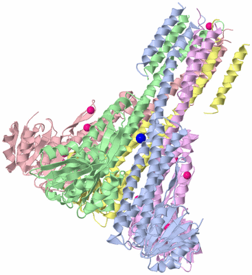 Image Asym./Biol. Unit