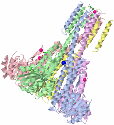 Image Asym./Biol. Unit - sites