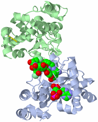 Image Asym./Biol. Unit