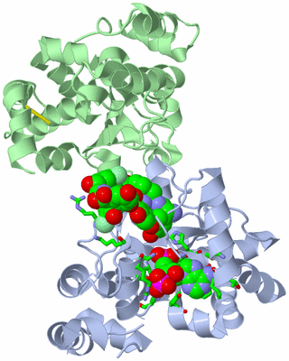 Image Asym./Biol. Unit - sites