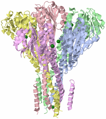 Image Asym./Biol. Unit