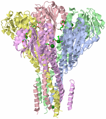 Image Asym./Biol. Unit - sites