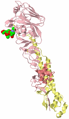 Image Biological Unit 2