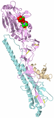 Image Biological Unit 3