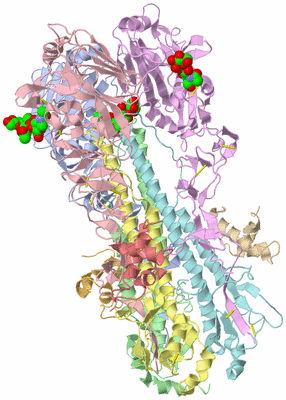 Image Biological Unit 4