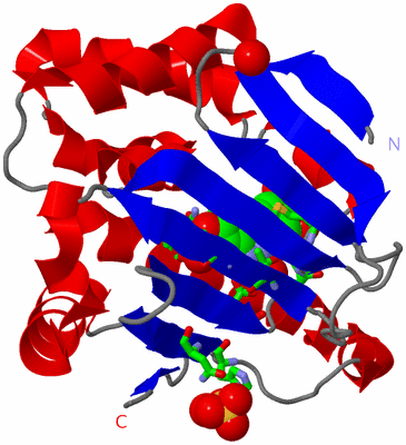 Image Asym. Unit - sites