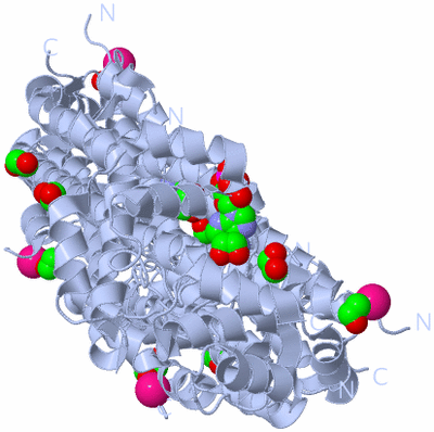 Image Biological Unit 2