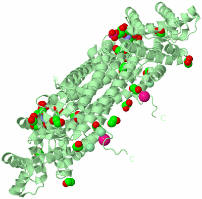 Image Biological Unit 3