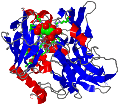 Image Asym./Biol. Unit - sites