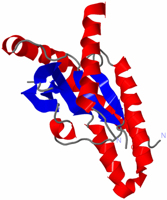 Image Asymmetric Unit