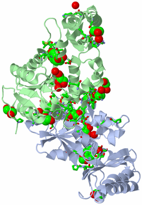 Image Biol. Unit 1 - sites