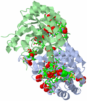 Image Asym./Biol. Unit - sites