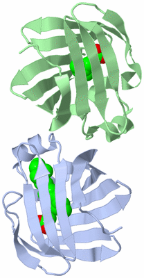 Image Asymmetric Unit