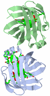 Image Asym. Unit - sites