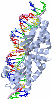 Image Biological Unit 2