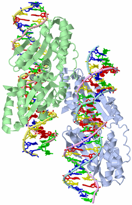 Image Asym. Unit - sites