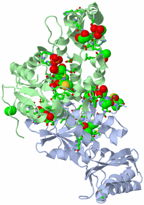 Image Biol. Unit 1 - sites