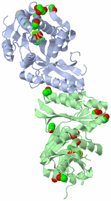 Image Biological Unit 2