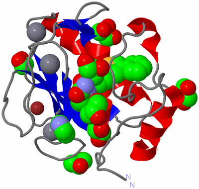 Image Asym./Biol. Unit