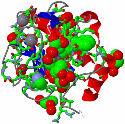 Image Asym./Biol. Unit - sites