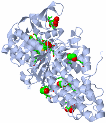 Image Biol. Unit 1 - sites